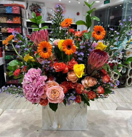 Fiesta de Colores