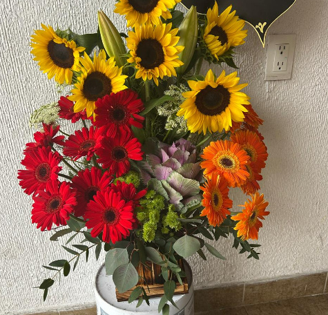 Noche de Gerberas