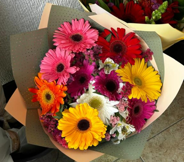 Arco Iris de Gerberas